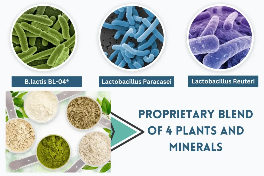 Prodentim Ingredients